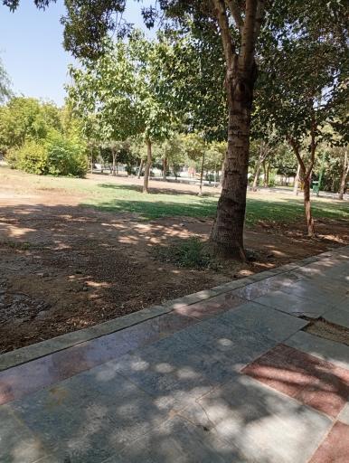 عکس بوستان شکوفه