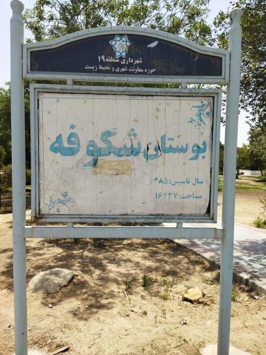 عکس بوستان شکوفه