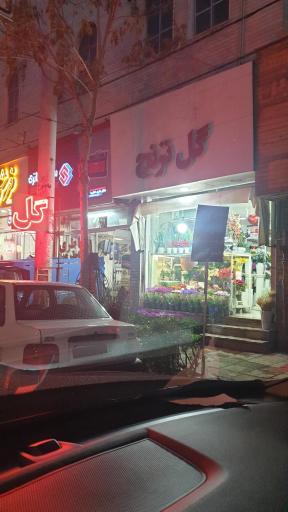 گل سرای ترنج