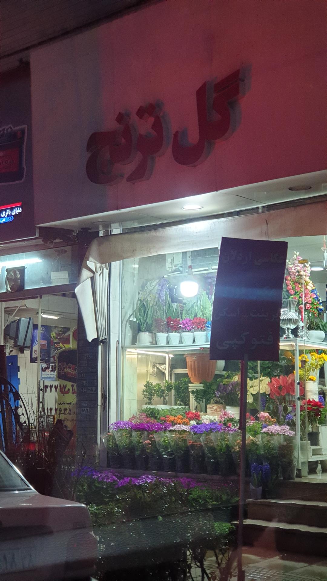 عکس گل سرای ترنج