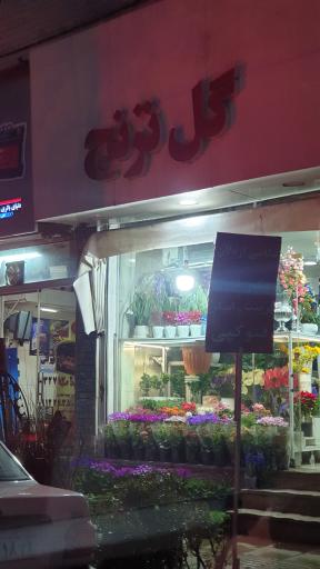 عکس گل سرای ترنج