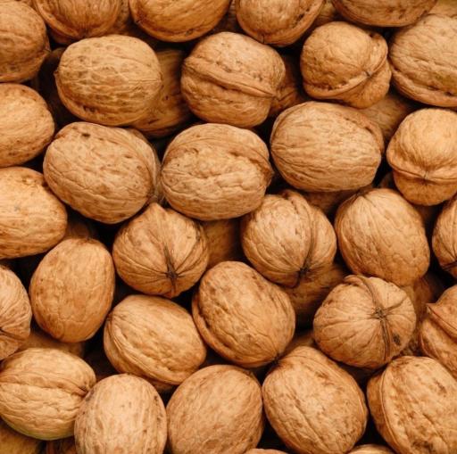 عکس آجیل خشکبار دستچین