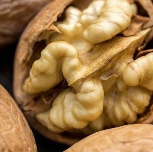 عکس آجیل خشکبار دستچین