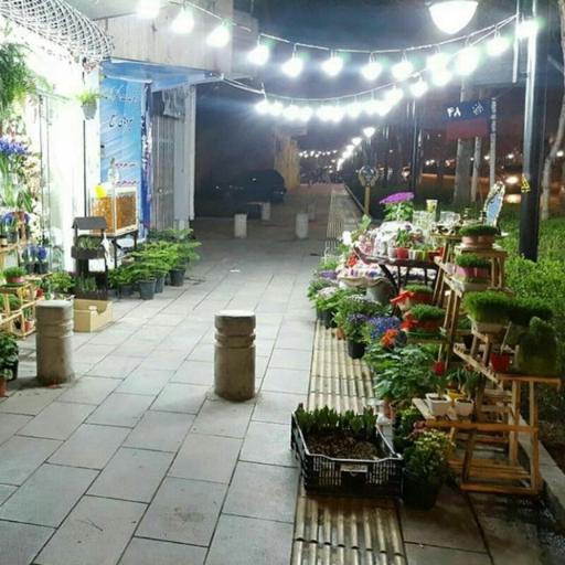 عکس گل وگیاه طبیعی حُسنا