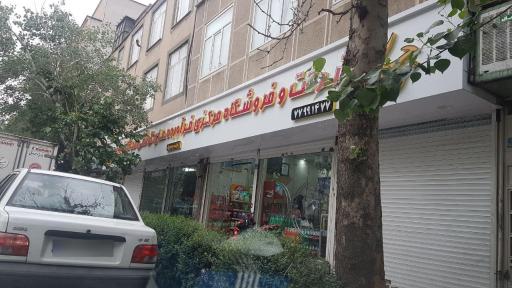 فرآورده های گوشتی و پروتئین ساتگین