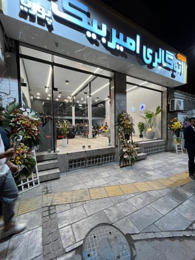 عکس اتو گالری امیربیک (پوریا)