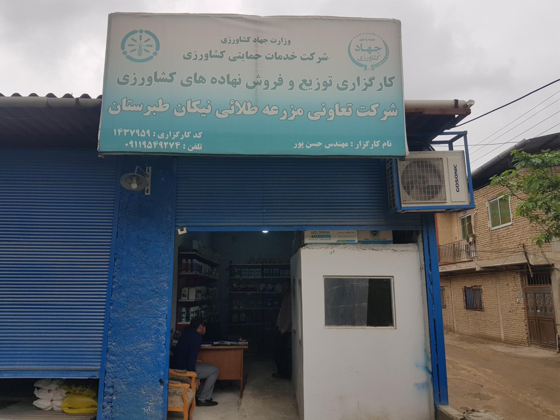 عکس شرکت تعاونی مزرعه طلایی نیکان طبرستان