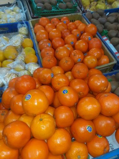 عکس میوه سرای چهار فصل شالی