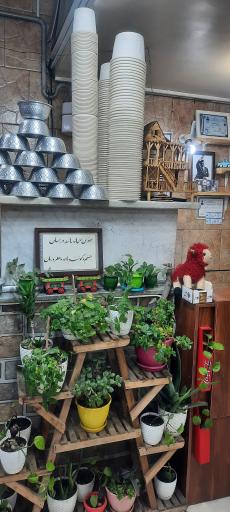 طباخی کپل مپل