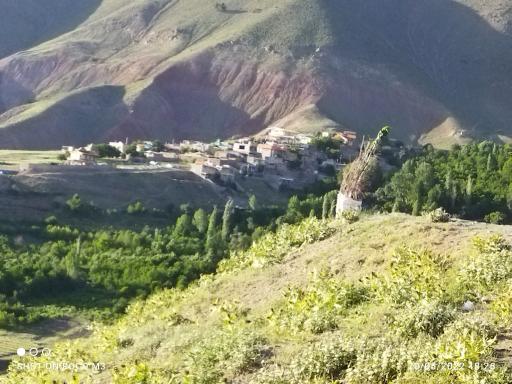 عکس برف ریز