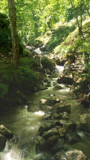 عکس رودخانه