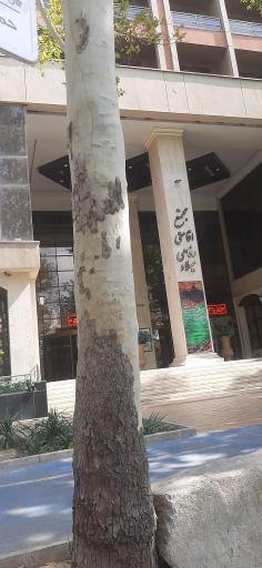 عکس مجتمع اقامتی رفاهی میلاد قوه قضاییه