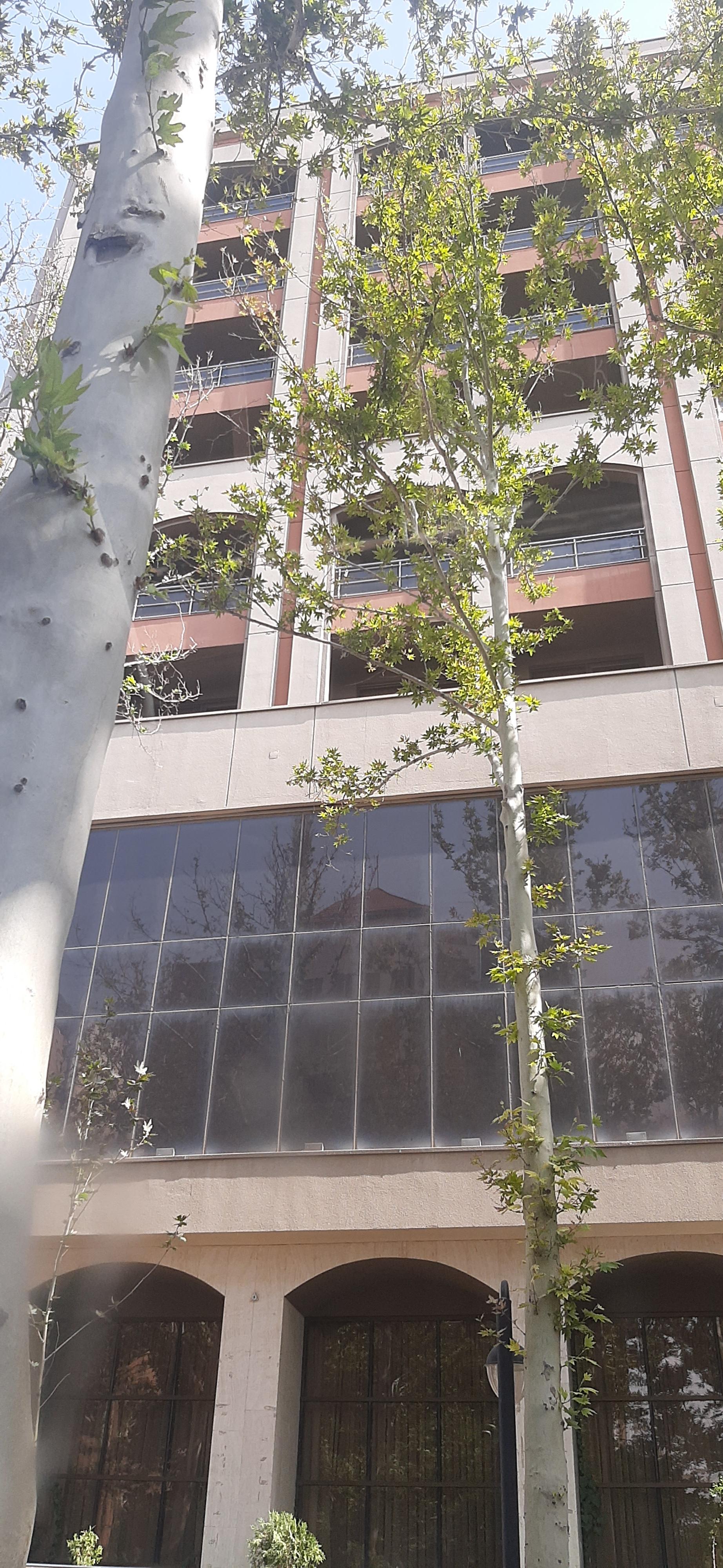 عکس مجتمع اقامتی رفاهی میلاد قوه قضاییه