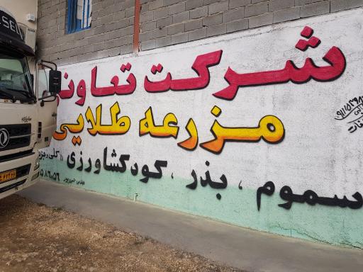 عکس شرکت تعاونی مزرعه طلایی نیکان طبرستان