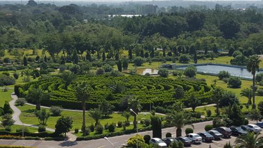 عکس پازل کاج