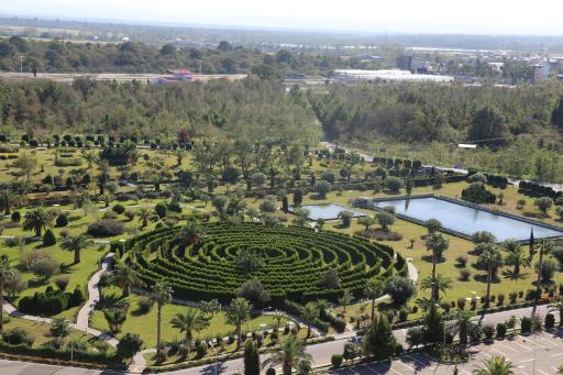 عکس پازل کاج