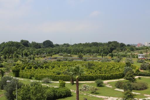 عکس پازل کاج