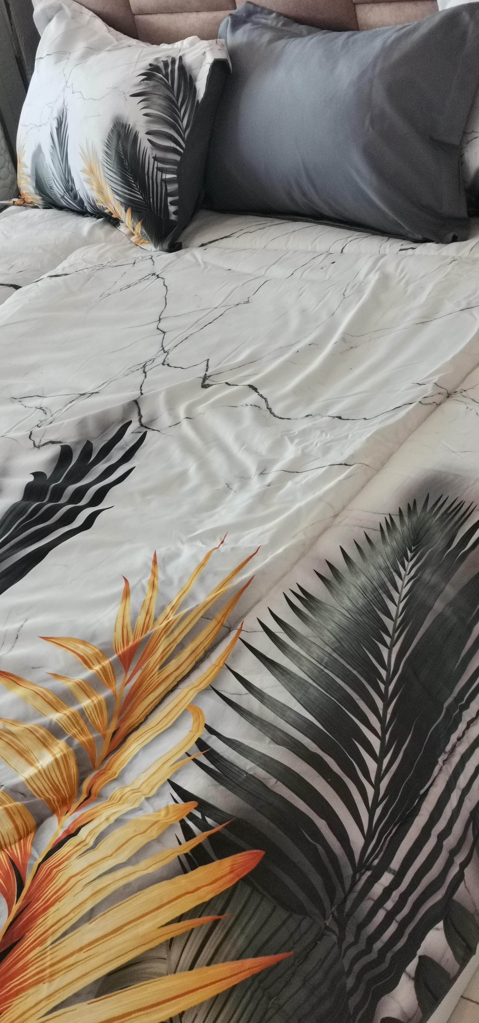 عکس شهر تشک 