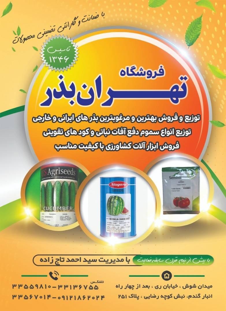 عکس تهران بذر