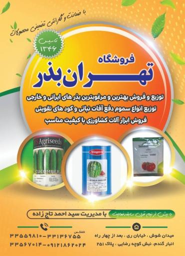 عکس تهران بذر