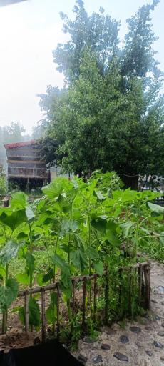 عکس رستوران و اقامتگاه وارش 