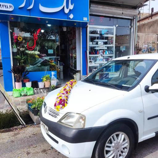 عکس گل فروشی بلک رز