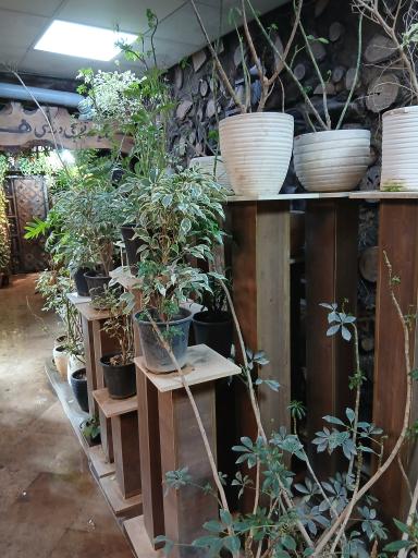 عکس رستوران هودین و هورام