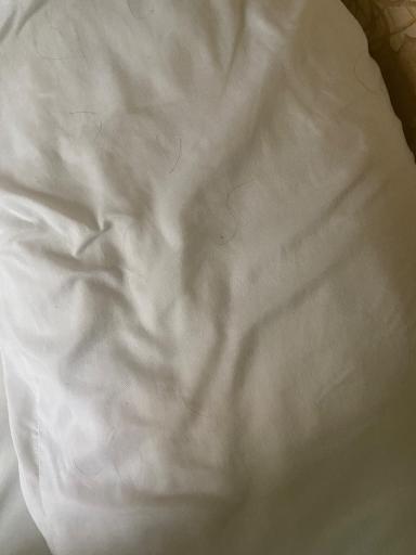 عکس مهمانپذیر آراز