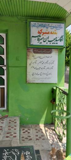 عکس لزرجان