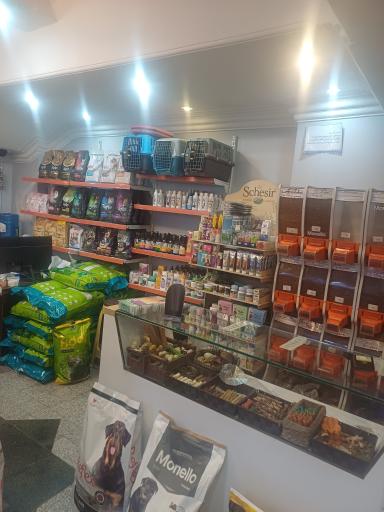 عکس پت شاپ آرکاپت