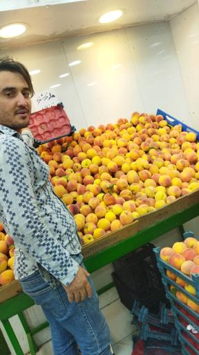 عکس میوه سرای مهدی