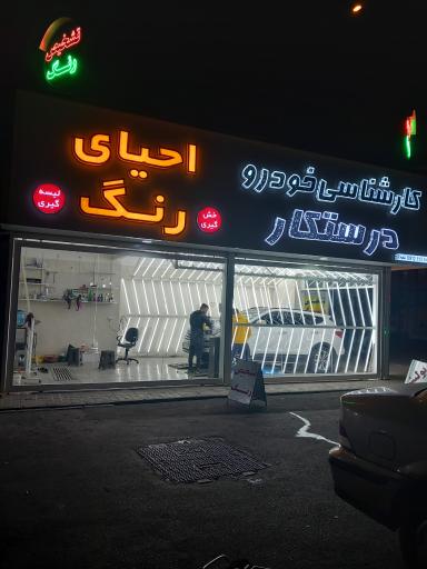 عکس کارشناسی خودرو درستکار