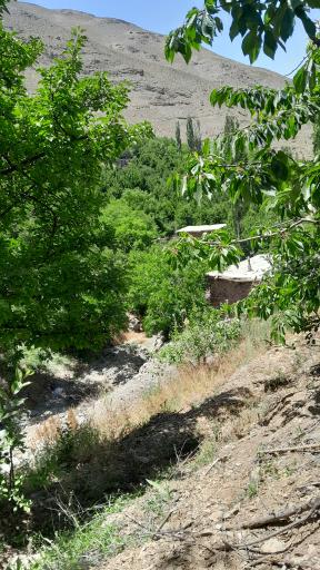 عکس شهر خور (خرو)