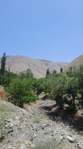 عکس شهر خور (خرو)