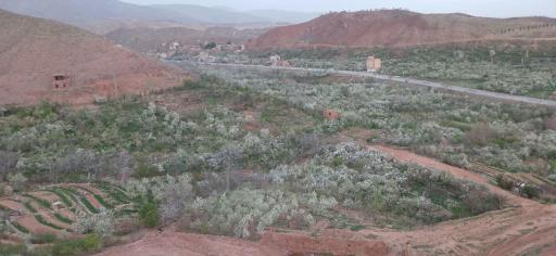 عکس شهر خور (خرو)