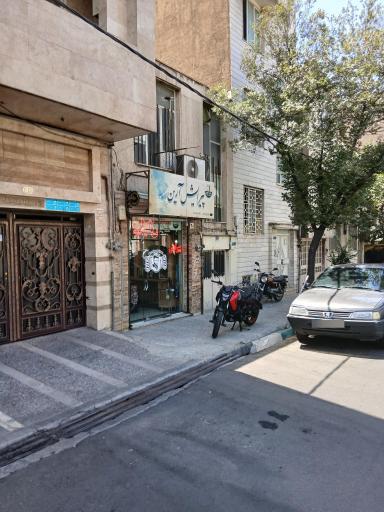 پیرایش آرین