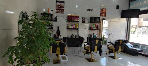 عکس پیرایش مستر کات