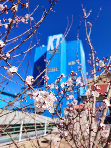 عکس کیمیاگران تغذیه