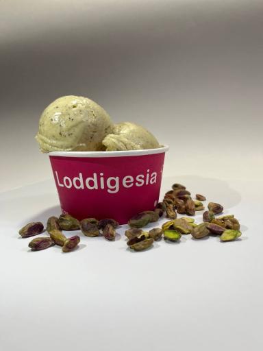 عکس لادیگیزیا ارگ 