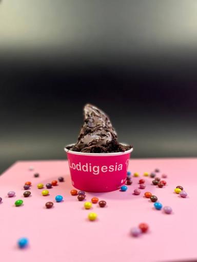 عکس لادیگیزیا ارگ 