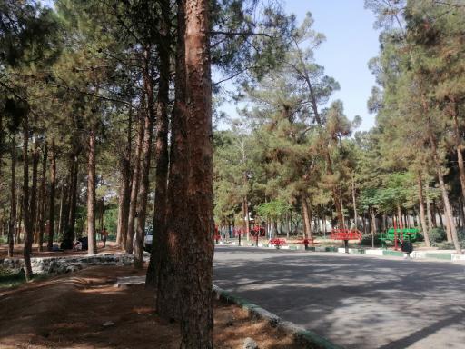 عکس پارک جنگلی ساوه