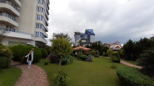 عکس مجتمع ساحلی قو