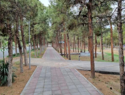 پارک جنگلی ساوه