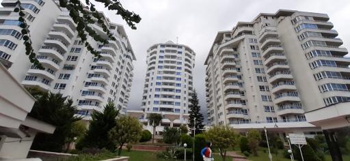 عکس مجتمع ساحلی قو