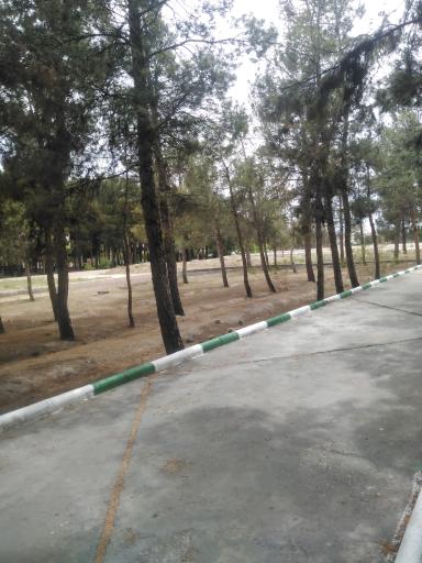 عکس پارک جنگلی ساوه