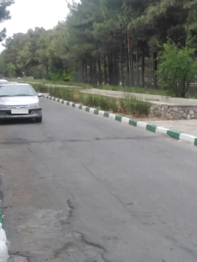 عکس پارک جنگلی ساوه