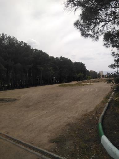 عکس پارک جنگلی ساوه