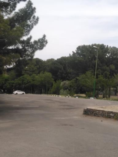 عکس پارک جنگلی ساوه