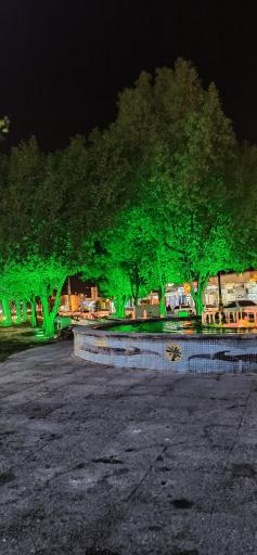 عکس فضای سبز