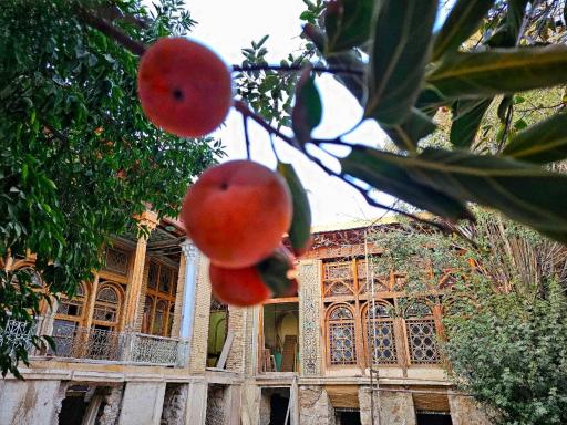 عکس عمارت تاریخی حکیم السلطنه